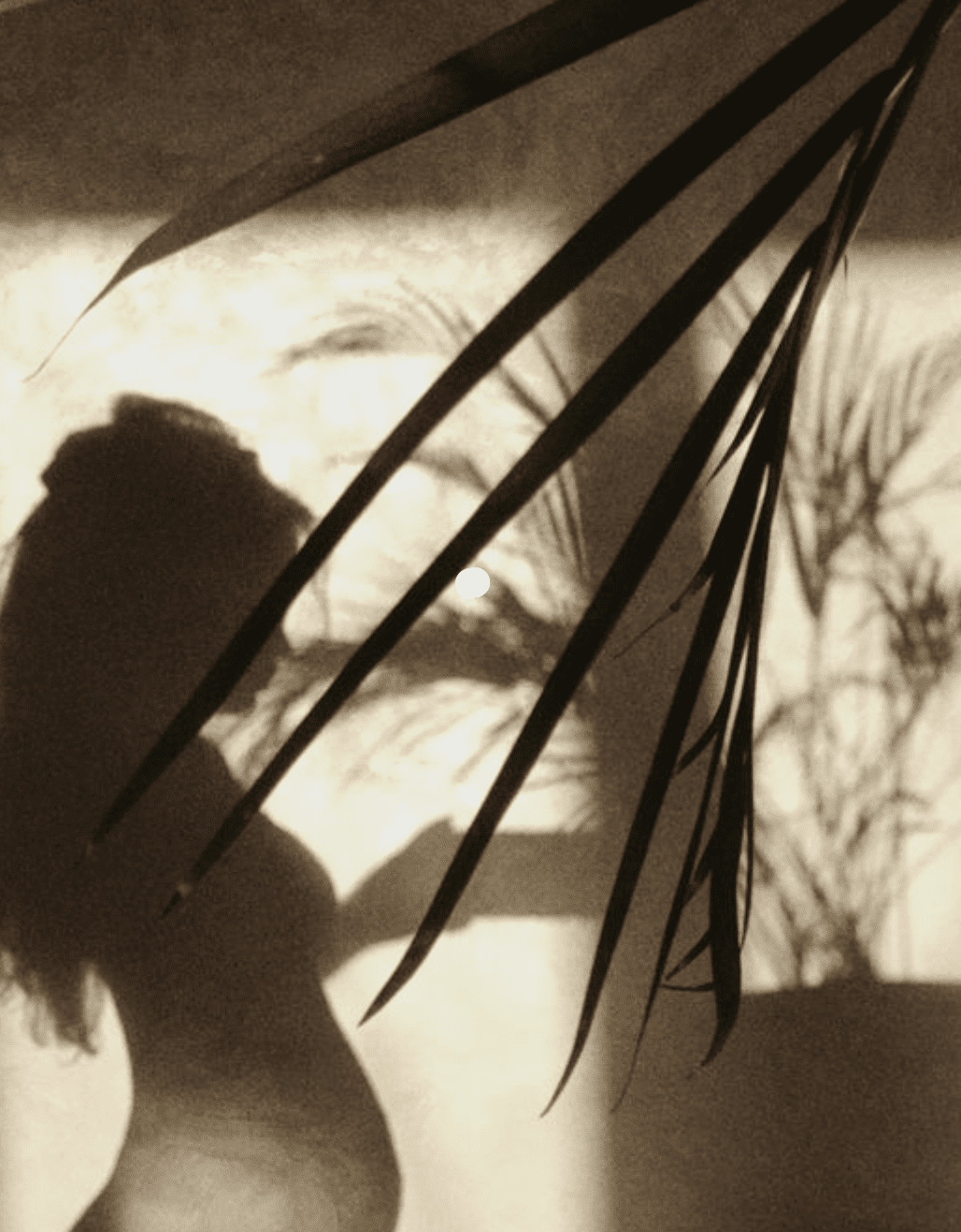 shadow of pregnant woman with palm leaves